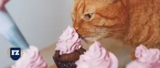 кошка ест пирожко гл