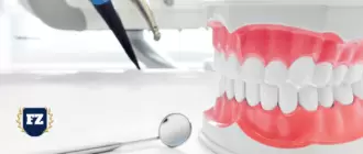 челюсть стоматолог гл