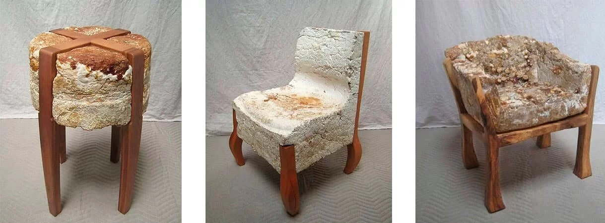мебель из грибов идея