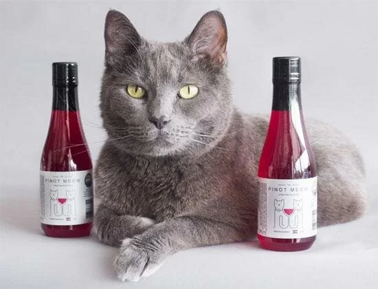 вино кошачье идея