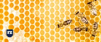 бизнес план на пчеловодство соты пчелы мед гл